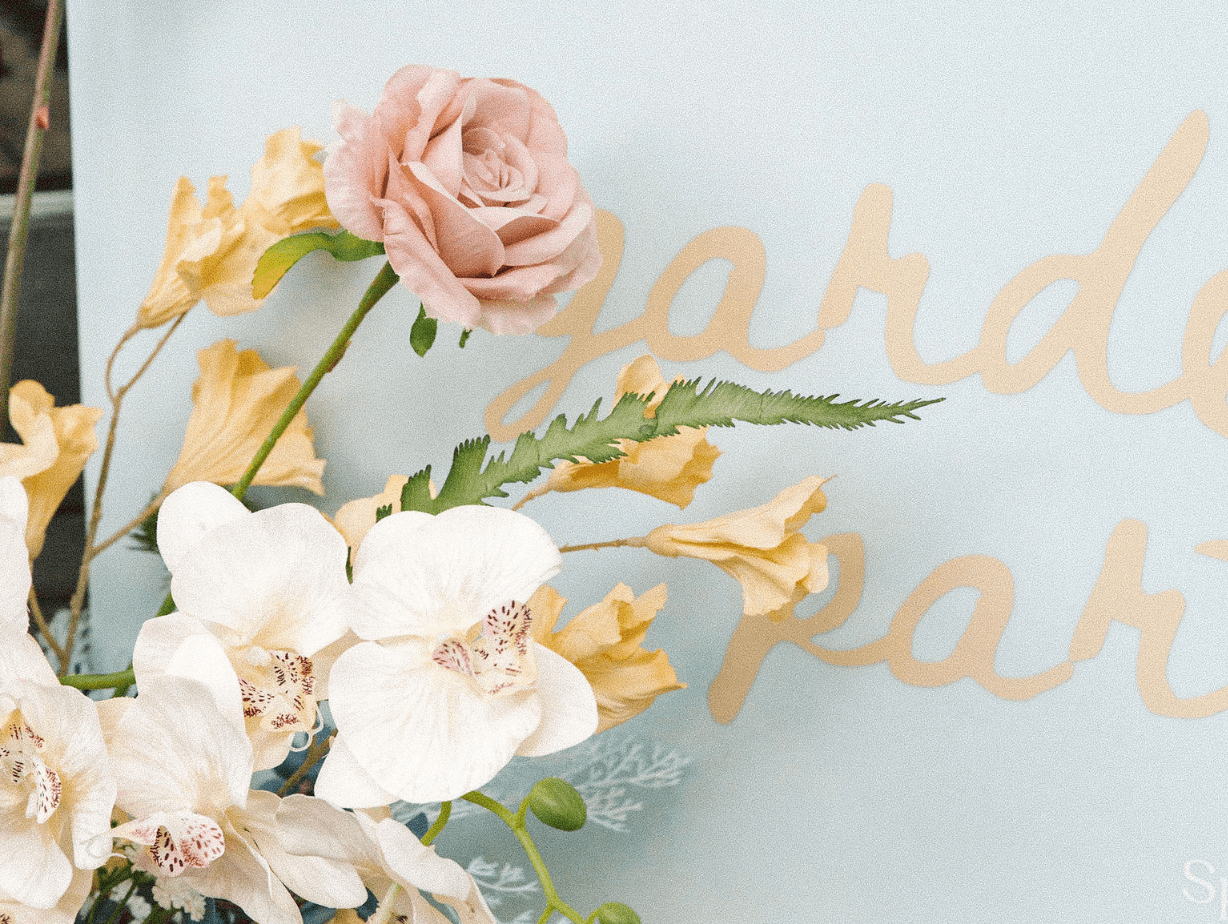 Celebrate with us | Spring 22 Launch Party