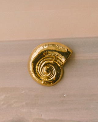 Golden Nautilus Brooch