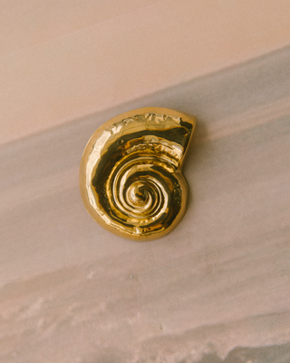 Golden Nautilus Brooch